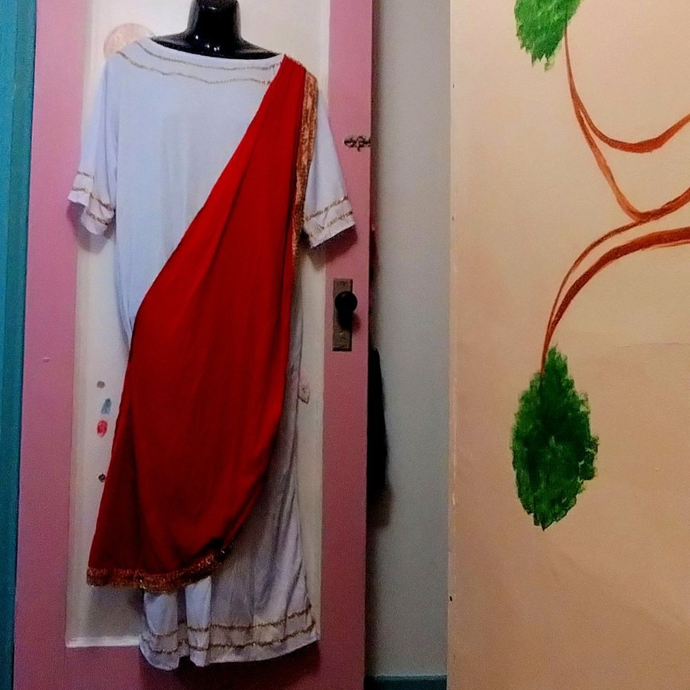 Forum Novelties (Plus) Roman Senator Robe